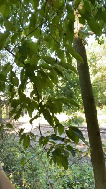 public_sexy  14-09-2021 Recorded Video Cam